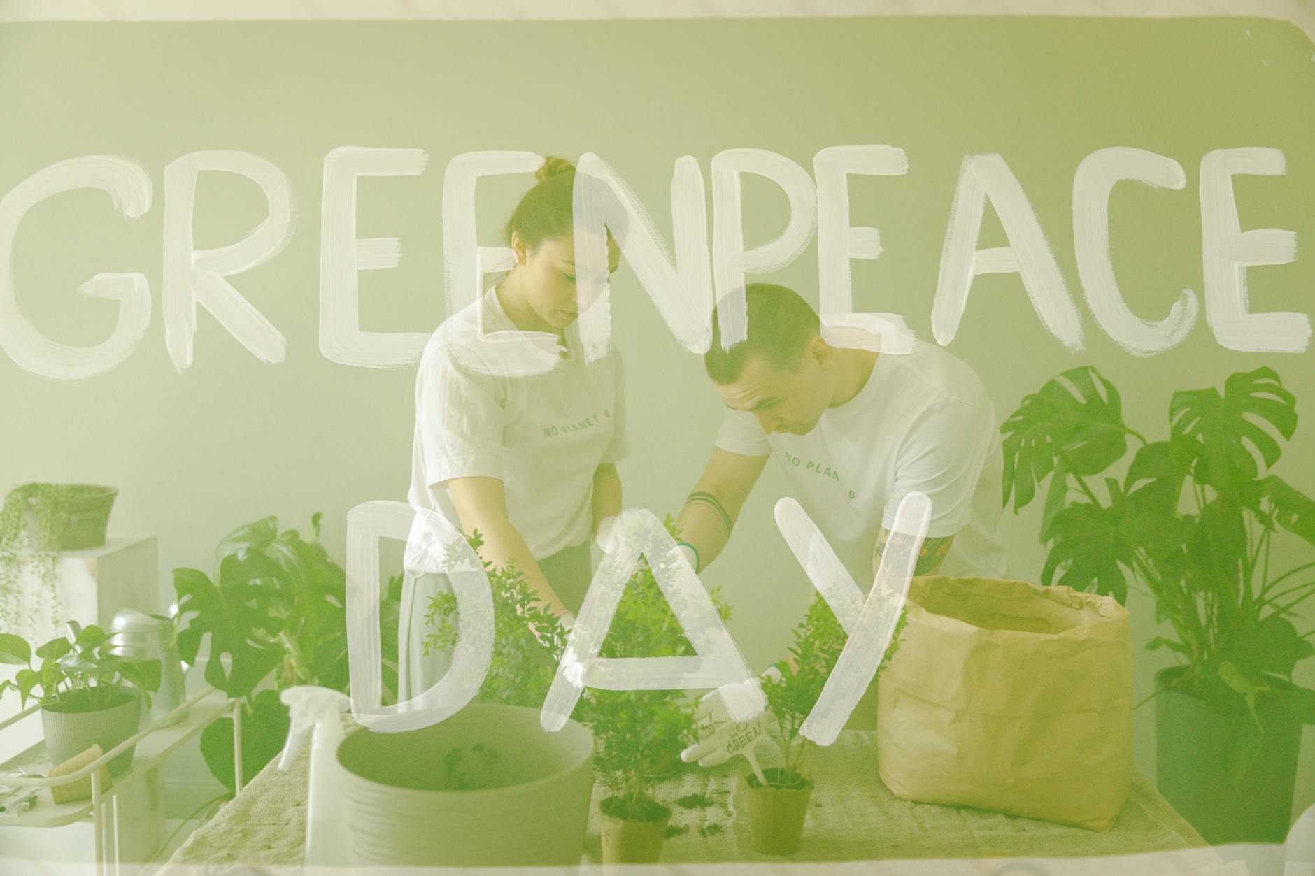 Mieszkańcy Świebodzic podczas akcji sadzenia drzew w ramach Dni Ziemi 2026